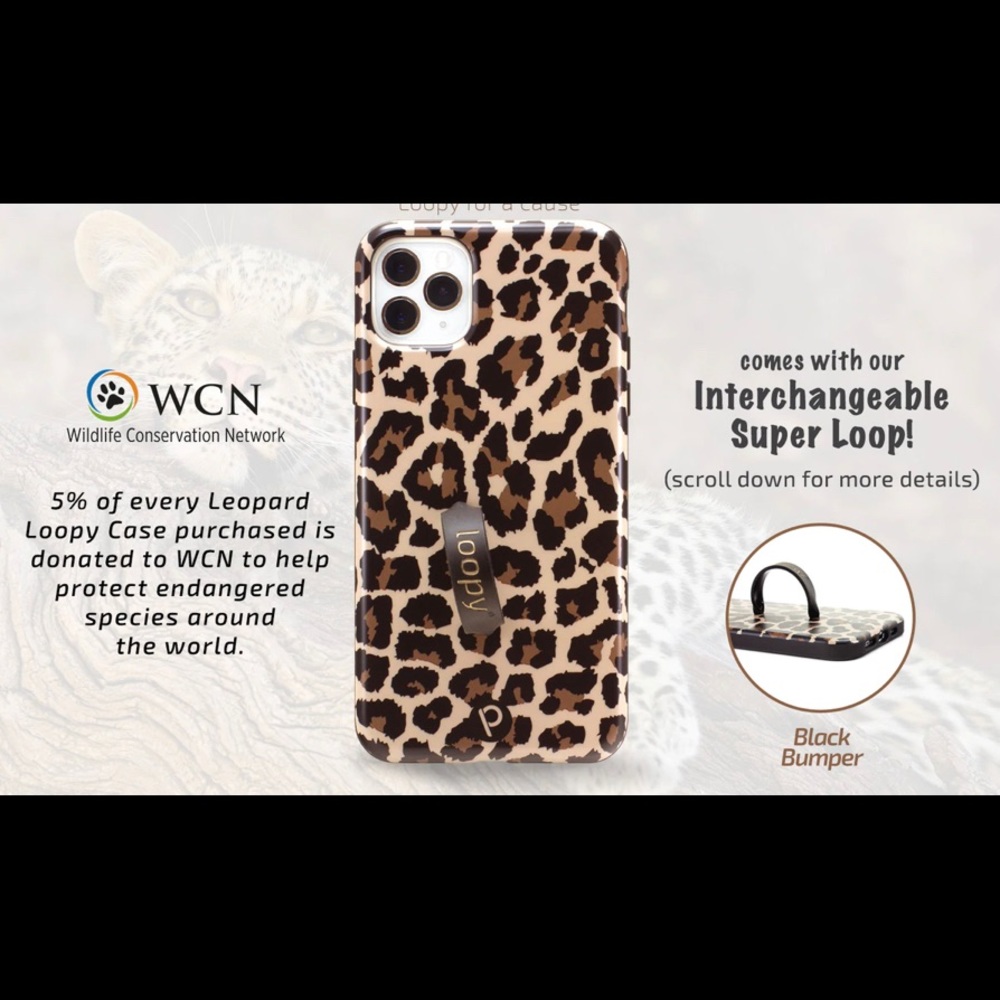 Loopy case